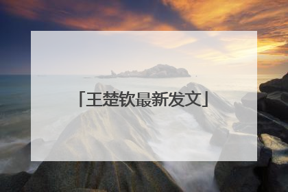 王楚钦最新发文