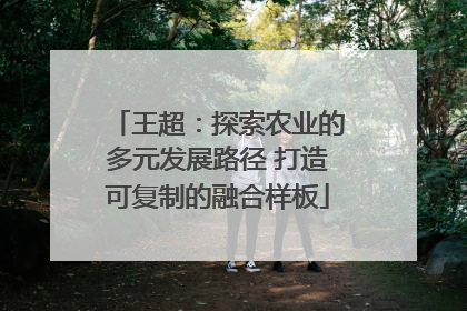 王超：探索农业的多元发展路径 打造可复制的融合样板