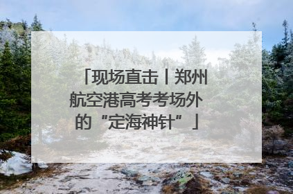 现场直击丨郑州航空港高考考场外的“定海神针”