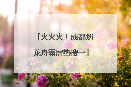 火火火！成都划龙舟霸屏热搜→
