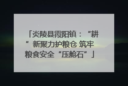 炎陵县霞阳镇：“耕”新聚力护粮仓 筑牢粮食安全“压舱石”
