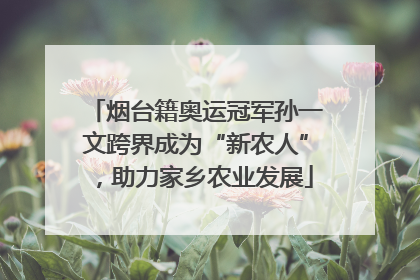 烟台籍奥运冠军孙一文跨界成为“新农人”，助力家乡农业发展