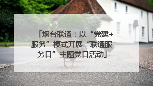 烟台联通：以“党建+服务”模式开展“联通服务日”主题党日活动