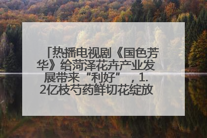 热播电视剧《国色芳华》给菏泽花卉产业发展带来“利好”，1.2亿枝芍药鲜切花绽放“国色芳华”