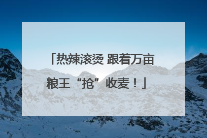 热辣滚烫 跟着万亩粮王“抢”收麦！