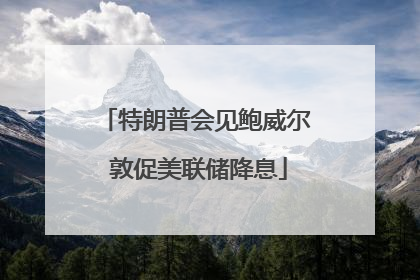 特朗普会见鲍威尔 敦促美联储降息