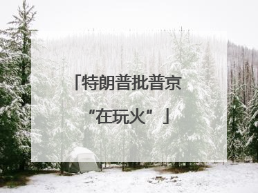 特朗普批普京“在玩火”
