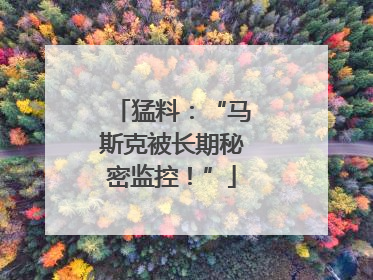 猛料：“马斯克被长期秘密监控！”
