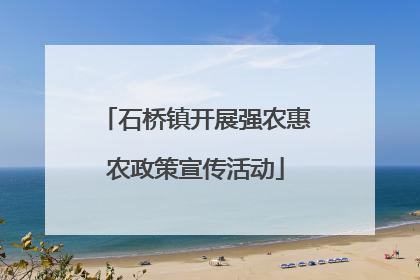 石桥镇开展强农惠农政策宣传活动