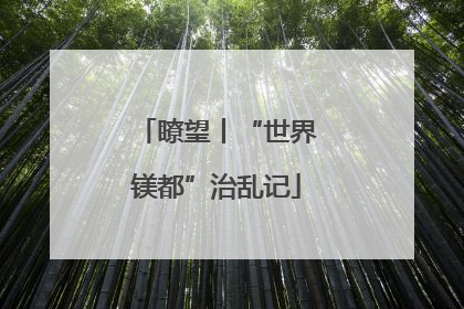 瞭望丨“世界镁都”治乱记
