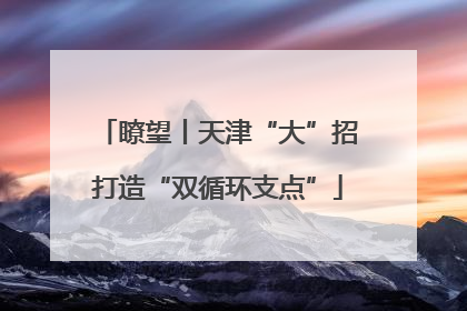 瞭望丨天津“大”招打造“双循环支点”