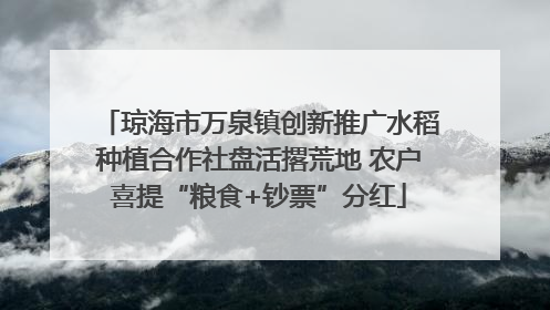 琼海市万泉镇创新推广水稻种植合作社盘活撂荒地 农户喜提“粮食+钞票”分红