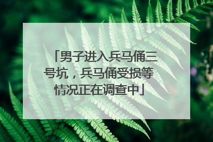 男子进入兵马俑三号坑，兵马俑受损等情况正在调查中