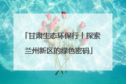 甘肃生态环保行丨探索兰州新区的绿色密码