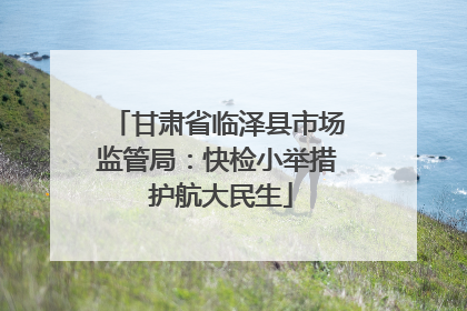 甘肃省临泽县市场监管局：快检小举措 护航大民生