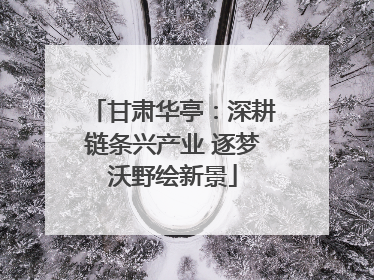 甘肃华亭：深耕链条兴产业 逐梦沃野绘新景