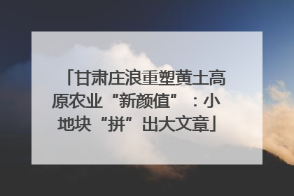 甘肃庄浪重塑黄土高原农业“新颜值”：小地块“拼”出大文章