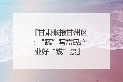 甘肃张掖甘州区：“蔬”写富民产业好“钱”景