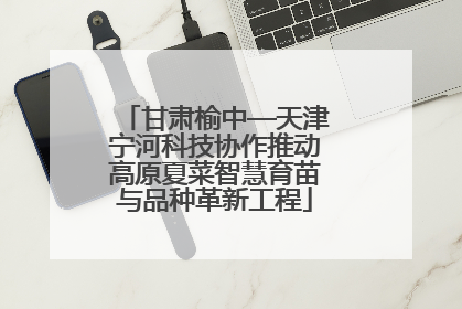 甘肃榆中—天津宁河科技协作推动高原夏菜智慧育苗与品种革新工程