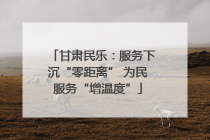 甘肃民乐：服务下沉“零距离” 为民服务“增温度”
