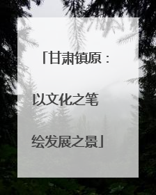 甘肃镇原：以文化之笔 绘发展之景