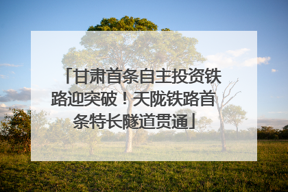 甘肃首条自主投资铁路迎突破！天陇铁路首条特长隧道贯通