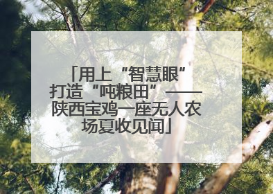 用上“智慧眼” 打造“吨粮田”——陕西宝鸡一座无人农场夏收见闻