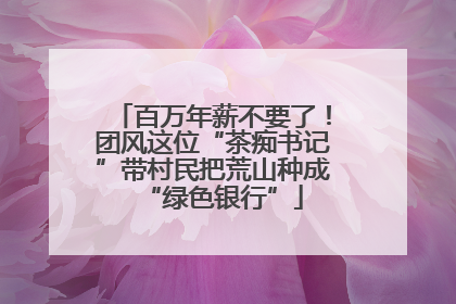 百万年薪不要了！团风这位“茶痴书记”带村民把荒山种成“绿色银行”