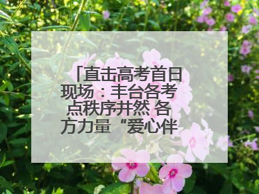 直击高考首日现场：丰台各考点秩序井然 各方力量“爱心伴考”服务考生