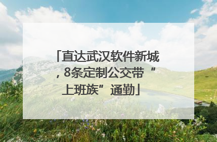 直达武汉软件新城，8条定制公交带“上班族”通勤