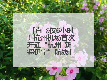 直飞仅6小时！杭州机场首次开通“杭州-新疆伊宁”航线