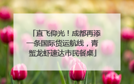 直飞仰光！成都再添一条国际货运航线，青蟹龙虾速达市民餐桌