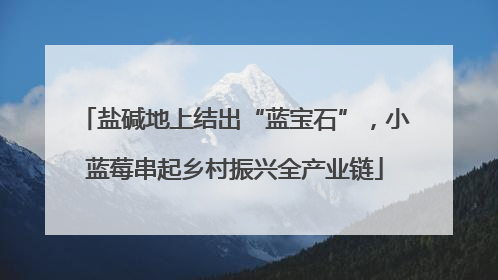 盐碱地上结出“蓝宝石”，小蓝莓串起乡村振兴全产业链