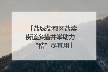 盐城盐都区盐渎街道多措并举助力“秸”尽其用