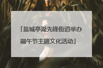 盐城亭湖先锋街道举办端午节主题文化活动