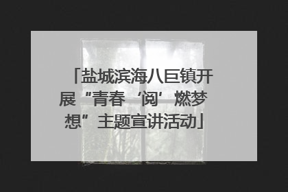 盐城滨海八巨镇开展“青春‘阅’燃梦想”主题宣讲活动