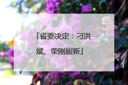 省委决定：刁洪斌、荣刚履新