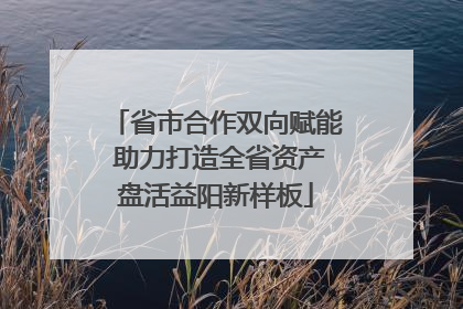 省市合作双向赋能 助力打造全省资产盘活益阳新样板