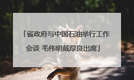 省政府与中国石油举行工作会谈 毛伟明戴厚良出席