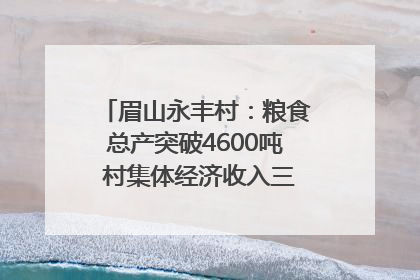 眉山永丰村：粮食总产突破4600吨 村集体经济收入三年倍增｜牵挂的村