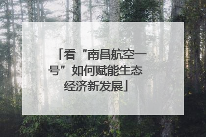 看“南昌航空一号”如何赋能生态经济新发展