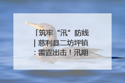 筑牢“汛”防线｜慈利县二坊坪镇：雷霆出击！汛期捕鱼被紧急叫停