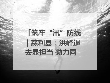 筑牢“汛”防线｜慈利县：洪峰退去显担当 勠力同心启新篇