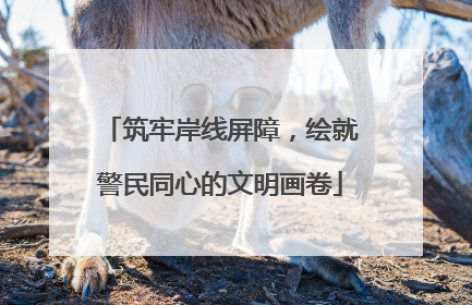 筑牢岸线屏障，绘就警民同心的文明画卷