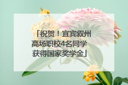 祝贺！宜宾叙州高场职校4名同学获得国家奖学金