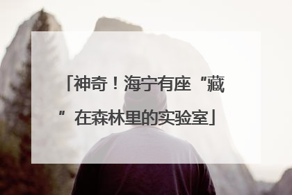 神奇！海宁有座“藏”在森林里的实验室