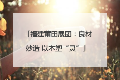 福建莆田展团：良材妙造 以木塑“灵”