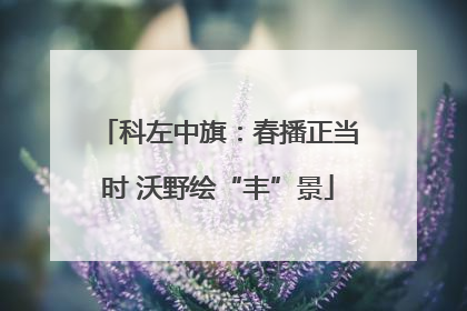 科左中旗：春播正当时 沃野绘“丰”景