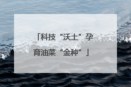 科技“沃土”孕育油菜“金种”