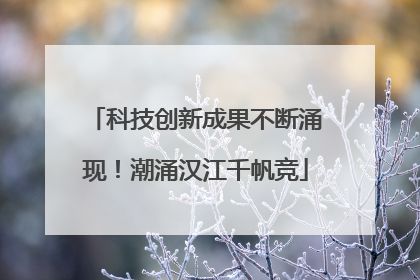 科技创新成果不断涌现！潮涌汉江千帆竞
